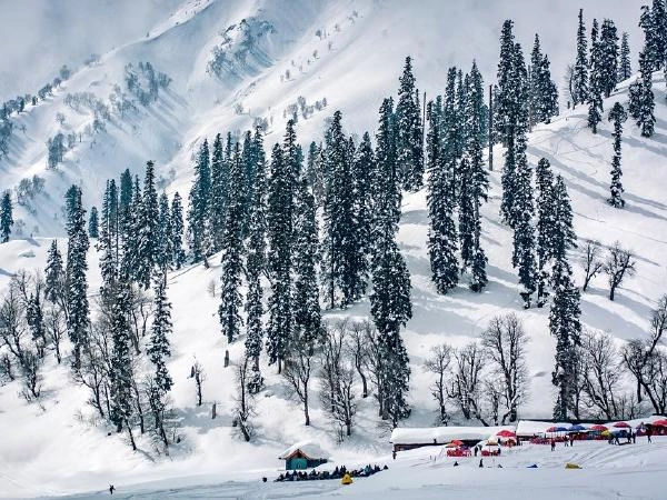 kashmir trip taxi service friends travel india